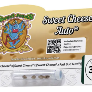 Sweet cheese auto (5) sweet seeds