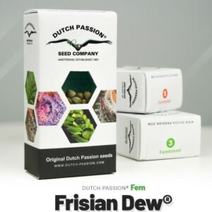 Frisian dew (5) 100% dutch passion