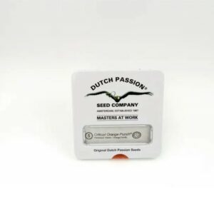 Critical orange punch (10) 100% dutch passion