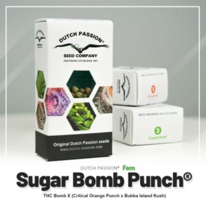 Sugar bomb punch (10) 100% dutch passion