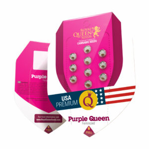 Purple queen (1) 100% royal queen seeds