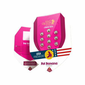 Fat banana (1) 100% royal queen seeds