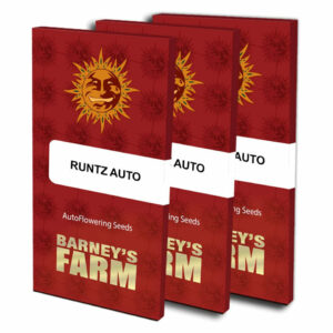 Runtz auto (3) auto barneys farm seeds