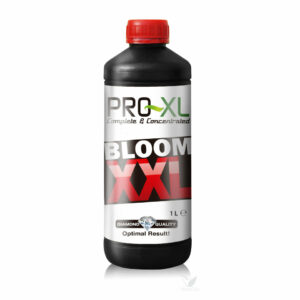Bloom xxl 1 l  pro-xl
