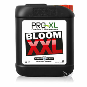 Bloom xxl 5 l  pro-xl