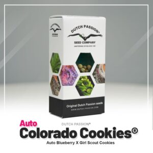 Auto colorado cookies (3) dutch passion