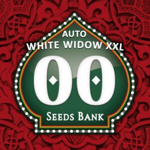 Auto white widow xxl (3) 100% 00 seeds