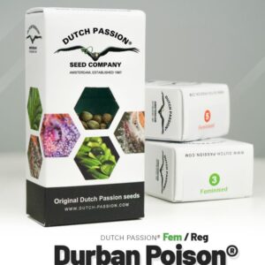 Durban poison (10) 100% dutch passion