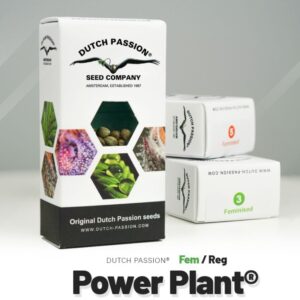Power plant (5) 100% dutch passion