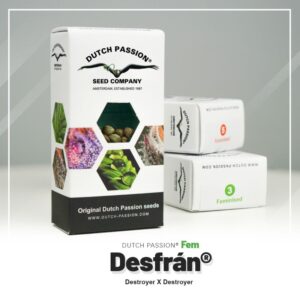 Desfran (3) 100% dutch passion