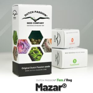 Mazar (10) 100% dutch passion