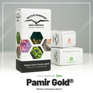 Pamir gold (10) 100% dutch passion