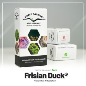 Frisian duck (10) 100% dutch passion