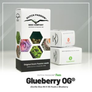 Glueberry o.g. (10) 100% dutch passion