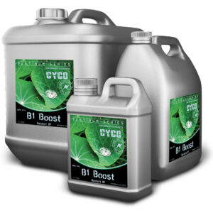 B1 boost 20 l cyco