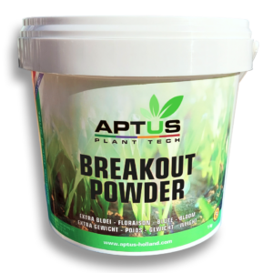 Breakout powder 1kg aptus