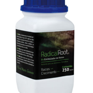 Radical root 1 l trabe