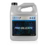 Pro silicate 10 l grotek