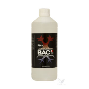 Ph up 1 l bac