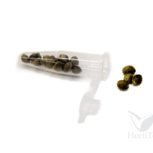 Tubo eppendorf grande (bolsa 1000 uds)